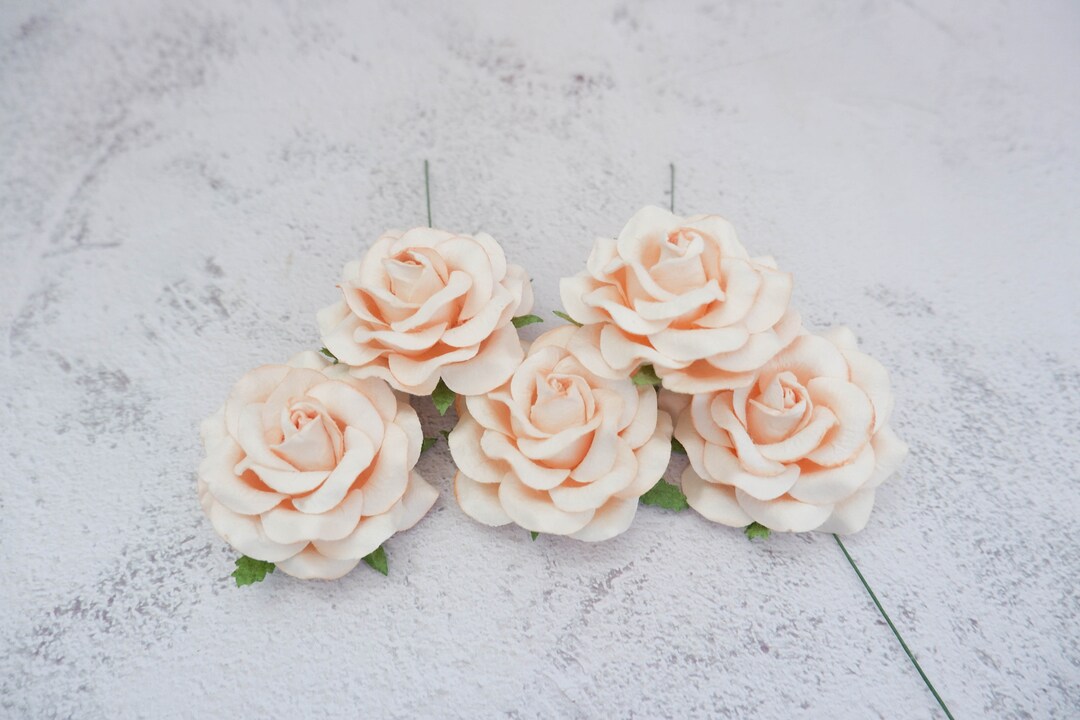 5 Pc, 6 Cm Champagne Peach Blush Paper Roses With Wire Stems, 60mm ...