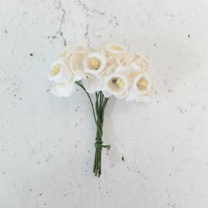 10 Narciso bianco, fiori di carta