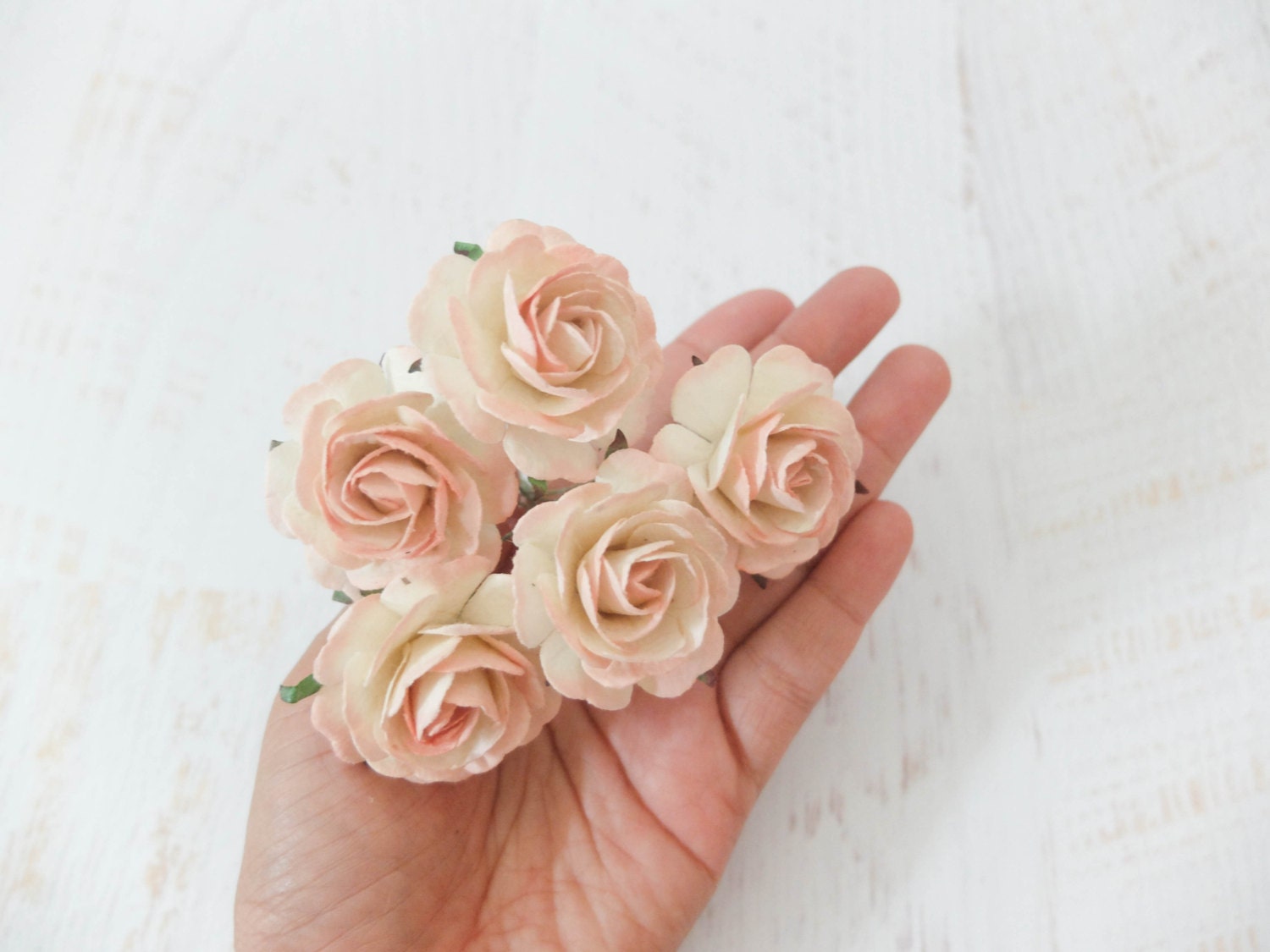 5 35mm Cream Blush Pink Tip Paper Roses Paper Flowers Paper | Etsy