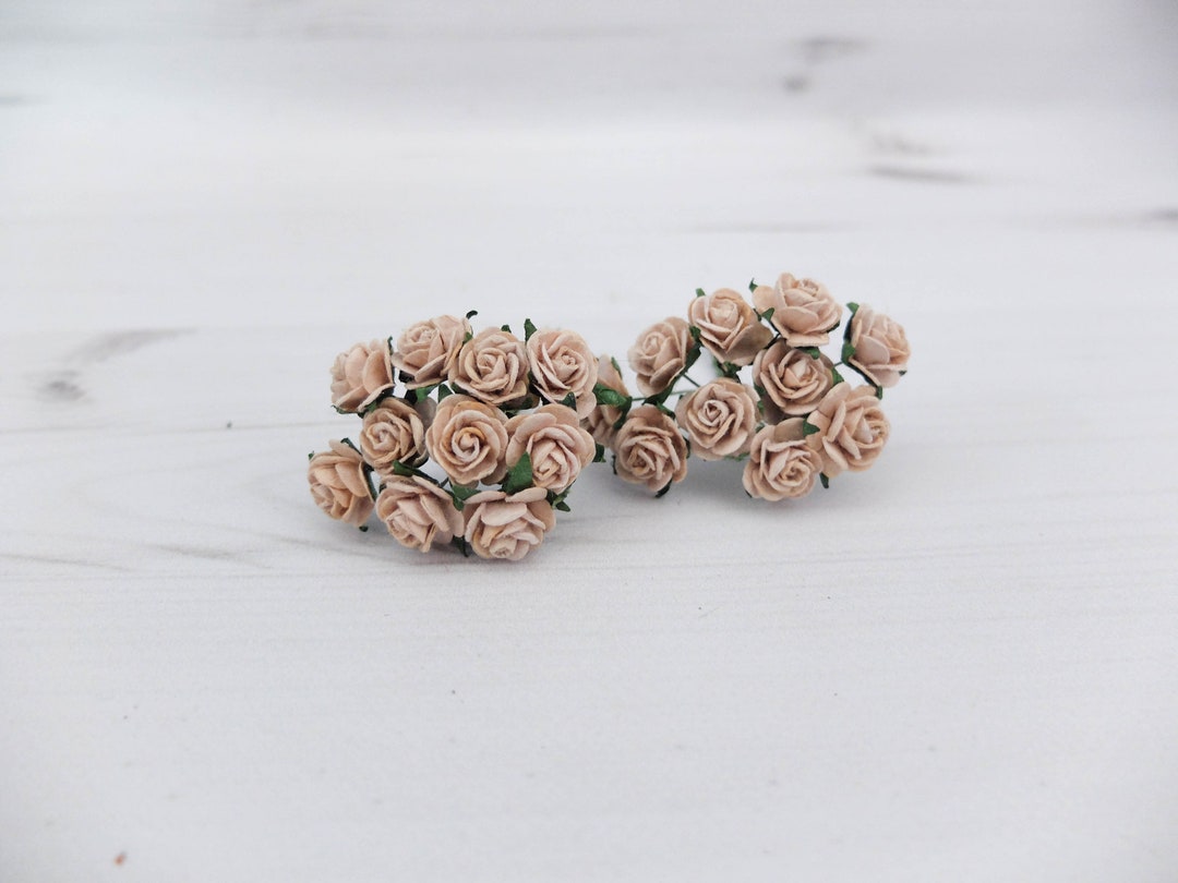 20 Tan Paper Roses (15mm), 1.5 Cm Light Brown Paper Roses - Etsy