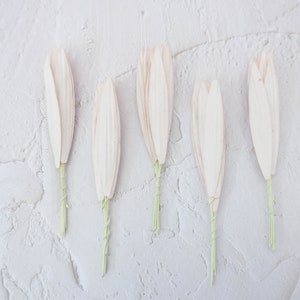 50  paper champagne long olive leaves, lily leaves, paper leaves