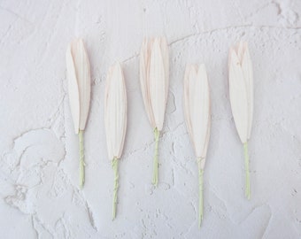 50 feuilles d'olivier longues en papier champagne, feuilles de lys, feuilles de papier