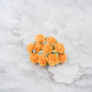 May include: A cluster of small, delicate, peach-colored paper roses.