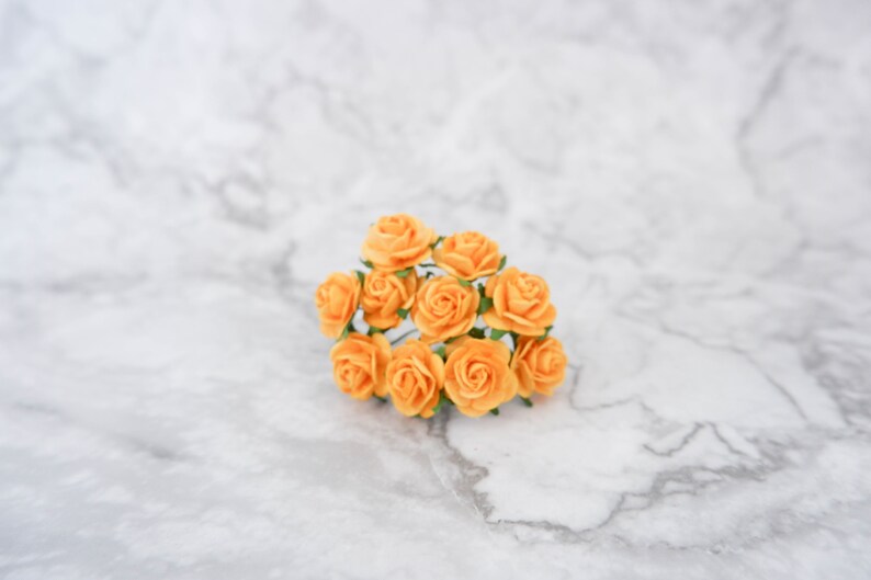 May include: A cluster of small, delicate, peach-colored paper roses.