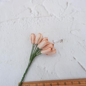 10 brownie paper tulips, mini paper flowers (Design B)