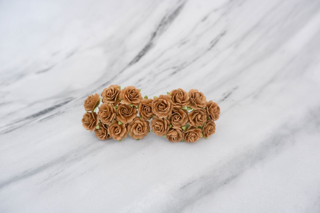 20 20mm Walnut Brown Paper Roses, 2 Cm Roses (design B) - Etsy