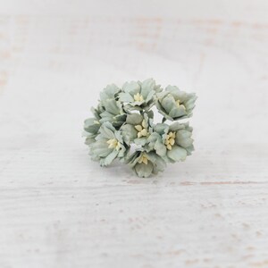 10 20 mm 多肉植物グリーンペーパー桜の花、2 cm クールセージグリーンペーパーフラワー（ワイヤーステム付き）