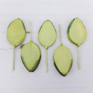 May include: Five green paper leaves on wire stems. The leaves are layered and have a slightly textured surface.