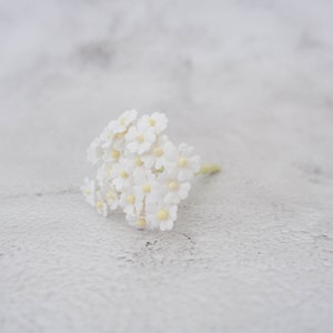 25 fiori di carta piatti bianchi da 10 mm, fiori da 1 cm