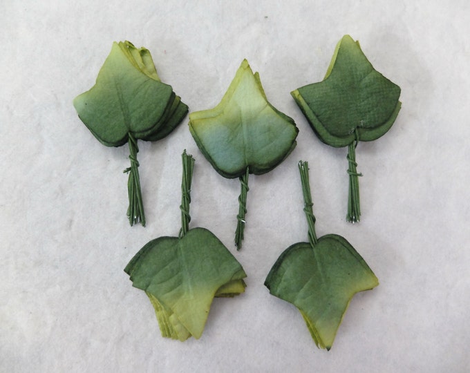 50 Mulberry Paper Ivy Leaves Green Leaves Paper Leaves Etsy