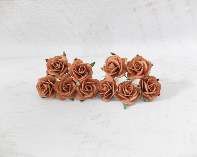 10 25mm Chocolate Brown Roses, 1
