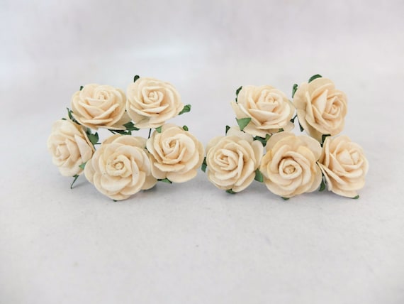 Crema y Rosa Grande De 5x papel de morera Rosas 5cm