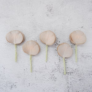 50 paper stained pale beige tan, eucalyptus leaves, light tan paper leaves