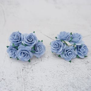 25 mm クールブルーローズ 10 本、1 インチ マルベリー紙の花、2.5 cm