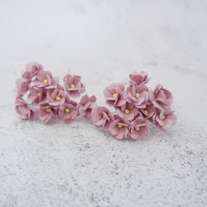 Pode incluir: Dois cachos de pequenas flores de papel rosa claro com centros amarelos. As flores estão dispostas em forma de buquê e estão sobre uma superfície branca texturizada.