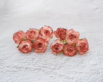 30mm terracotta tip wild roses with wire stems, 3 cm flowers