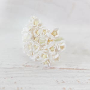 25 margherite a doppio strato di carta bianca da 10 mm, fiori di carta da 1 cm