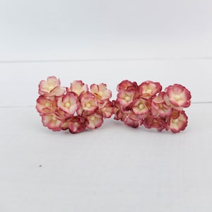 May include: Two clusters of small, artificial flowers. The flowers have a cream-coloured centre with pinkish-red edges. They are arranged in a horizontal line against a white background, suggesting a craft or floral arrangement.