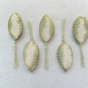50 feuilles de papier mûrier vert crème (taille 5)