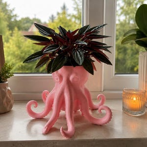 Octopus Planter – 3D Printed Succulent Pot – Tentacle Plant Holder – Ocean Coastal Decor – Gift for Plant Lovers