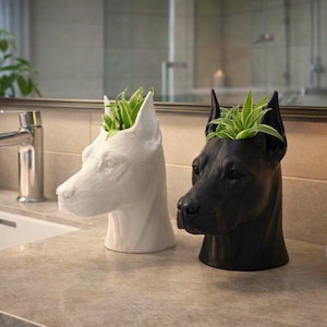 Könnte beinhalten: Zwei Hundekopf-Pflanzgefäße, eines weiß und eines schwarz, jeweils mit grünen Pflanzen gefüllt. Die Pflanzgefäße stehen auf einer Badezimmer-Arbeitsplatte mit Waschbecken, Wasserhahn und Spiegel im Hintergrund.