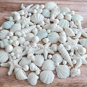 Può includere: Un assortimento di conchiglie bianche, stelle marine e perle disposte su una superficie di legno. La collezione comprende varie forme e dimensioni di conchiglie, creando un tema costiero. Le perle variano in dimensioni.