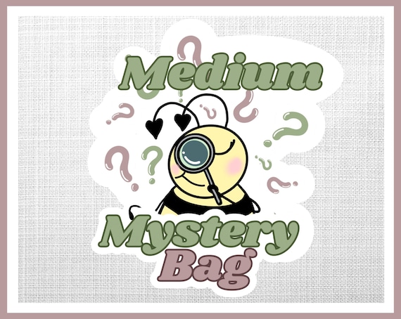 Medium Mystery Bag
