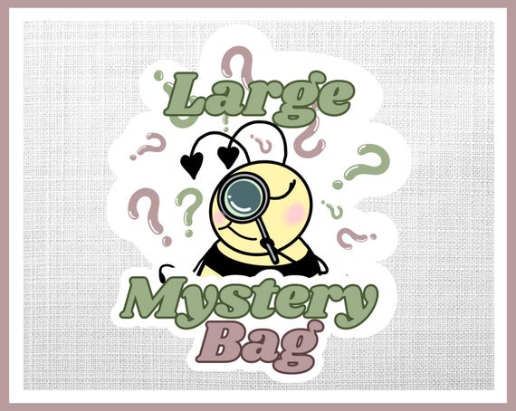 Large Mystery Bag