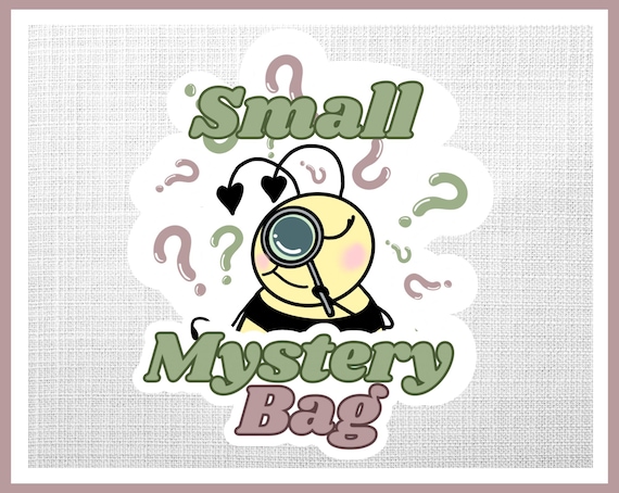 Small Mystery Bag