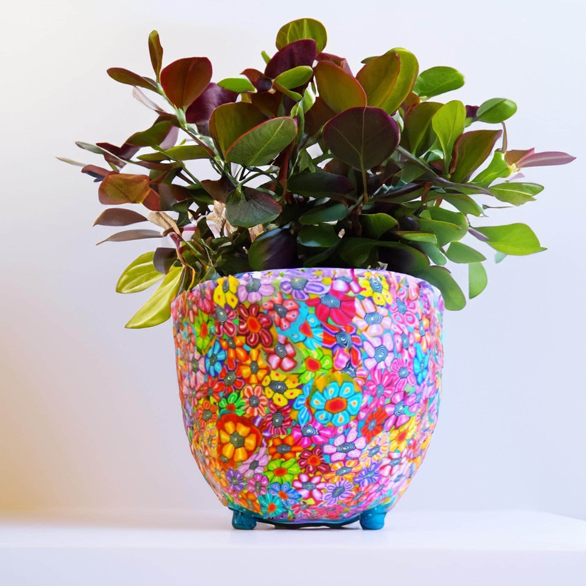 排水穴付き屋内用セラミック植木鉢 ガーデンデコレーション - Etsy 日本