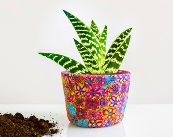 Colorful Indoor Small Planter Pot for Colorful Succulent, Bookshelf Decor
