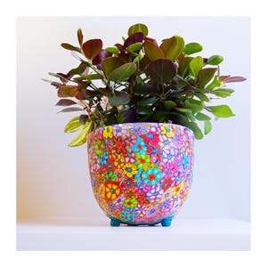 May include: A colourful flower pot with a floral pattern, holding a leafy green plant. The pot features a design of red, yellow, blue, and pink flowers. It stands on three small, turquoise feet. The pot's diameter is approximately 20 cm.