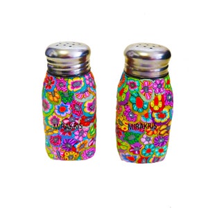 Colorful salt and Pepper Shakers set, Decorative Shakers Set, Dinning Table Set