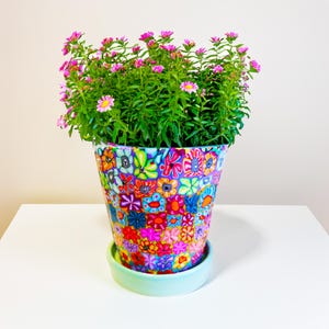 Indoor Planter Pot with Saucer – Handmade Ceramic Pot for House Plants – Medium Decorative Planter, Drainage, Fun Plant Lover Gift