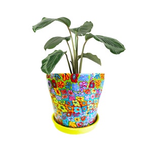 Colorful Indoor Planter pot With Drainage Hole, Planter With Saucer, Bookshelf Decor