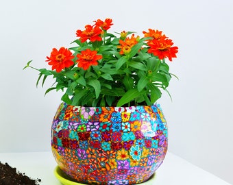 Colorful and Unique Ceramic Planter pot With Drainage Hole, Planter With Saucer