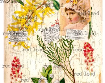 Digital Collage Sheet - 8-1/2" x 11" - Vintage Elements 72