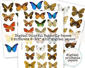 Digital Colorful Butterfly Collection Collage Papers