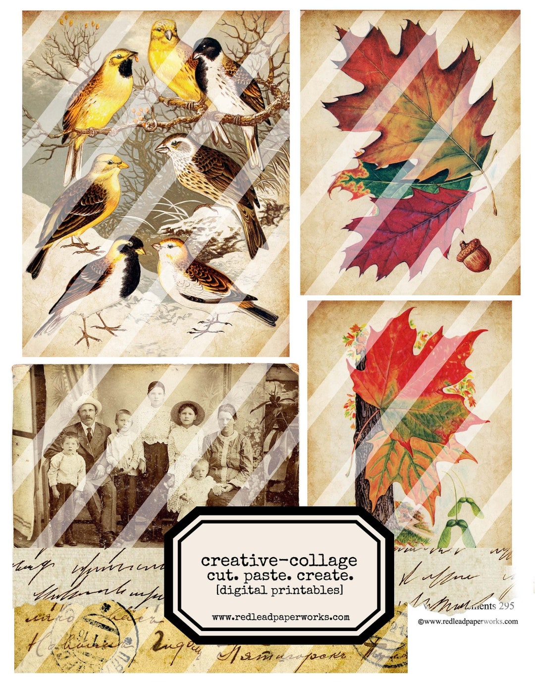 Digital Vintage Elements 295 Collage Sheet - Etsy