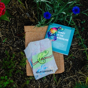 La Belle à la frontière : jeu de cartes et guide pour le trouble de la personnalité limite