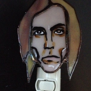 Iggy Pop stained glass Night Light by Glass Action image 1