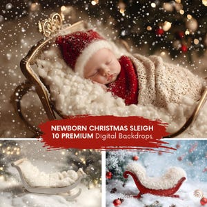 NEWBORN CHRISTMAS SLEIGH Digital Backdrop | Baby First Xmas Portrait Winter Scene | Festive Snow Sledge Holiday Photo Background (10 JPGs)