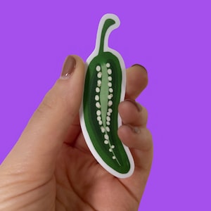 Jalapeno Sticker, Spicy Hot Pepper Vinyl Sticker