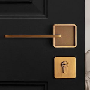 May include: Close-up of a black door with brass-coloured hardware. The hardware includes a rectangular backplate, a long, straight handle, and a keyhole cover. The door has a recessed panel design.