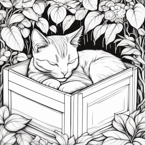 May include: A black and white line drawing of a cat sleeping in a wooden box. The cat is curled up in the box, with its head resting on its paws. The box is surrounded by leaves.