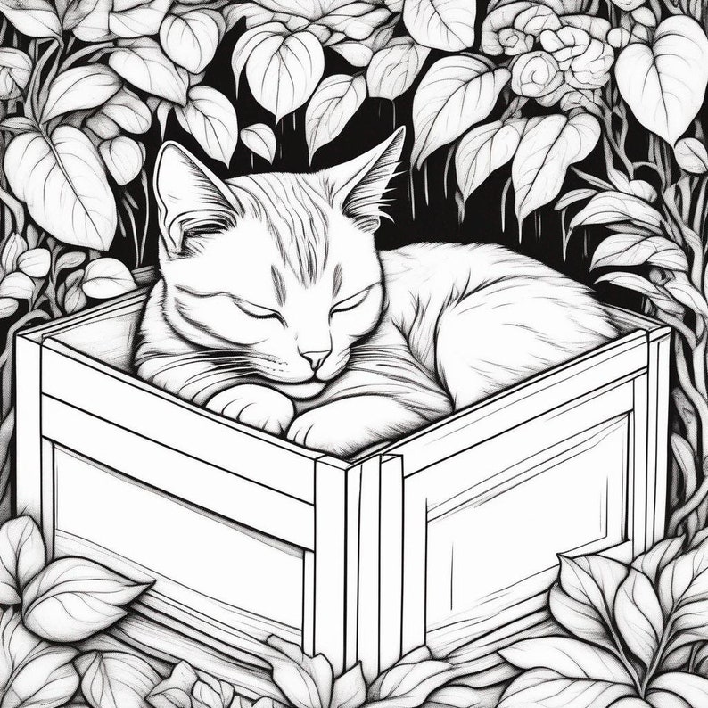 May include: A black and white line drawing of a cat sleeping in a wooden box. The cat is curled up in the box, with its head resting on its paws. The box is surrounded by leaves.