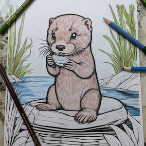 Sea life coloring pages, ocean coloring, coloring pages for kids and adults, underwater animals