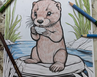 Sea life coloring pages, ocean coloring, coloring pages for kids and adults, underwater animals