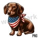 see more listings in the Dachshund PNG section