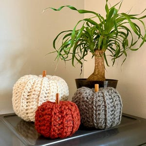 Peut inclure: Trois citrouilles crochetées en crème, rouille et gris, chacune avec une petite tige en bois. Les citrouilles sont disposées devant une plante en pot avec de longues feuilles vertes. Décoration automnale.